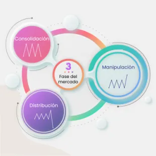 Las 3 Fases del mercado, consolidación, manipulación y distribución